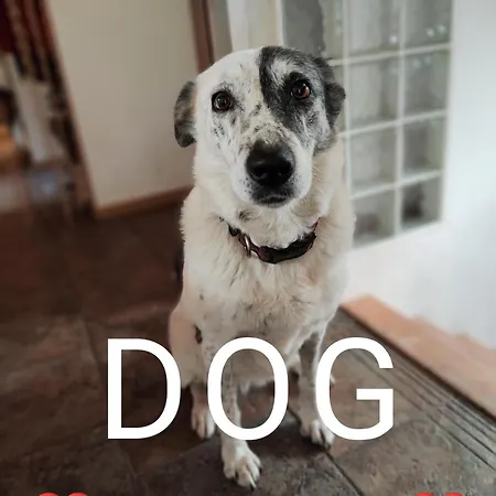 Casa vacanze Le Doux Refuge De Bouillon