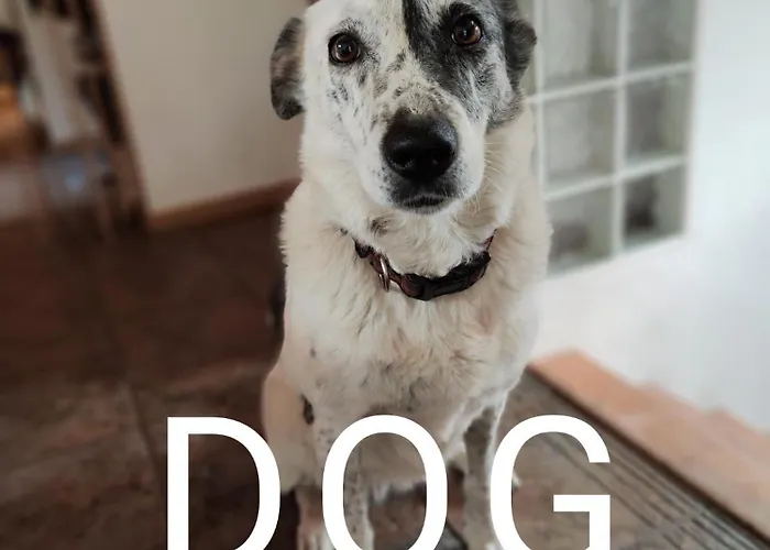 Casa vacanze Le Doux Refuge De Bouillon